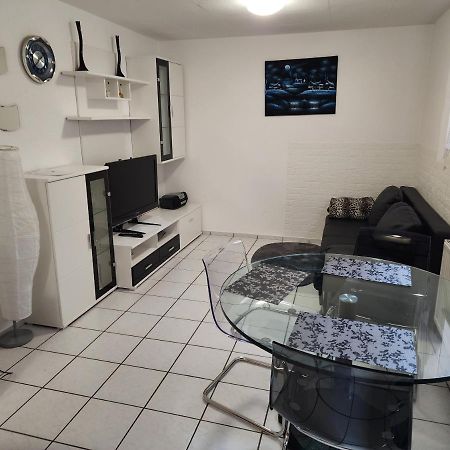 Ferienwohnung In Singen Am Hohentwiel - Seenah エクステリア 写真