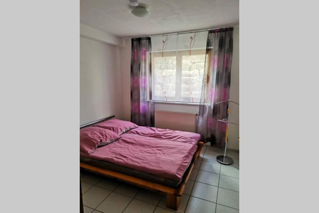 Ferienwohnung In Singen Am Hohentwiel - Seenah エクステリア 写真