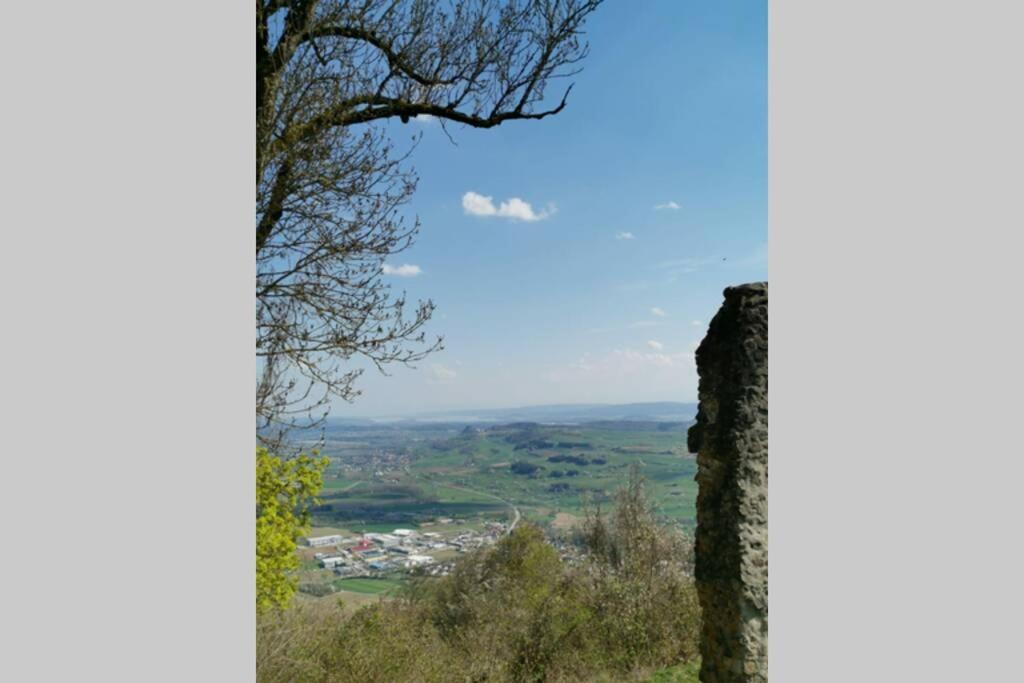 Ferienwohnung In Singen Am Hohentwiel - Seenah エクステリア 写真