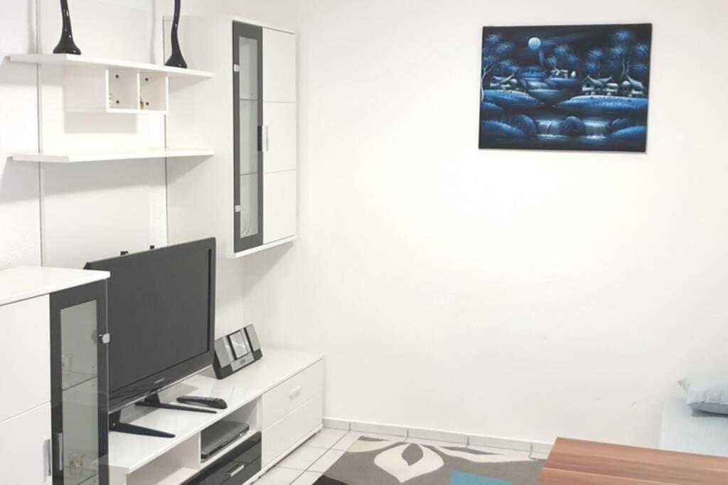 Ferienwohnung In Singen Am Hohentwiel - Seenah エクステリア 写真