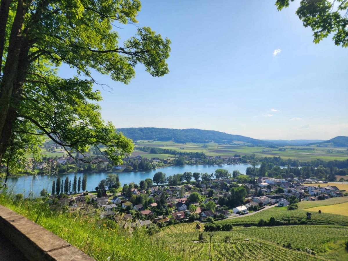 Ferienwohnung In Singen Am Hohentwiel - Seenah エクステリア 写真